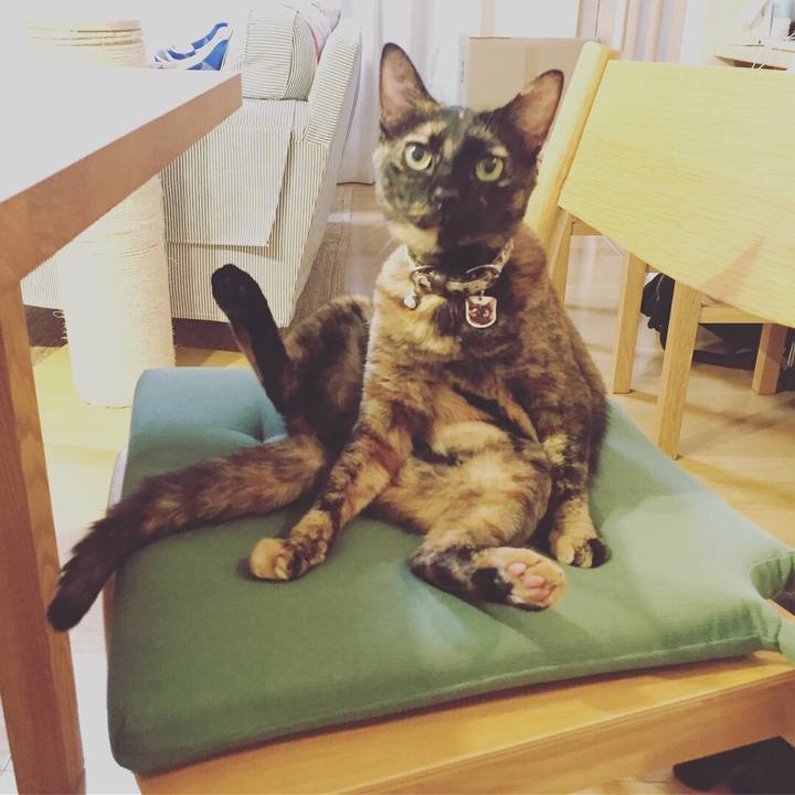 5b192dcb 6b51 4ec3 91ce fbb01aa1e44c 1535961712642