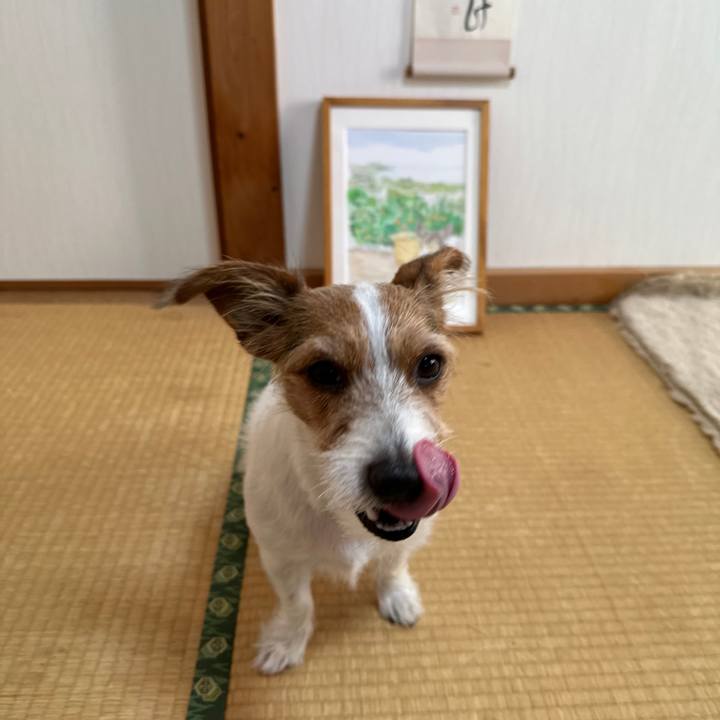 5b19955f b539 4e4b b7d5 61dcf2dc71b6 1762467891060