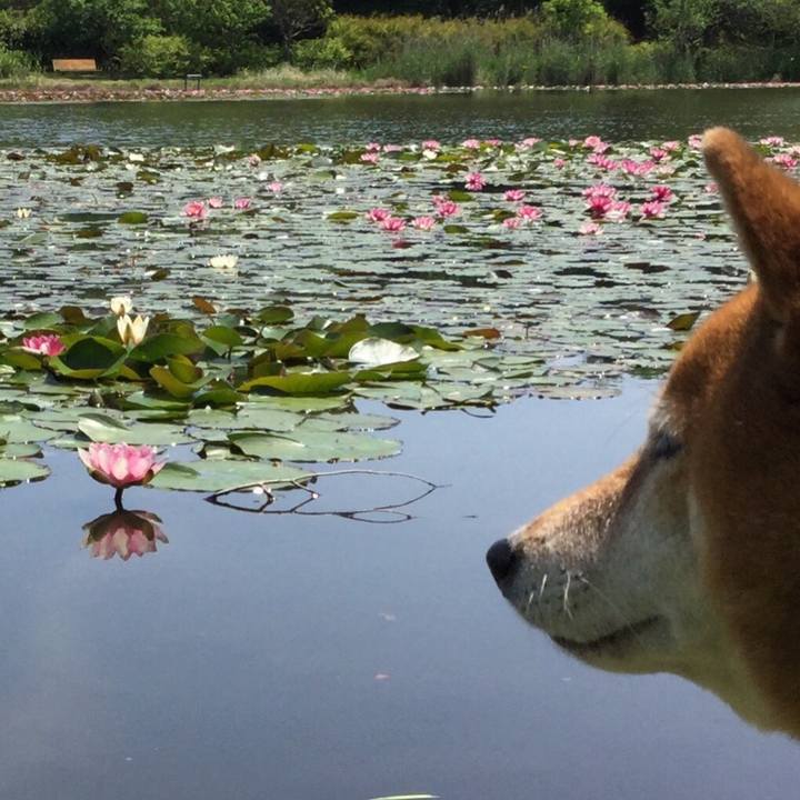 5b19f005 f455 4792 959e e527fbee33a9 1557470085884