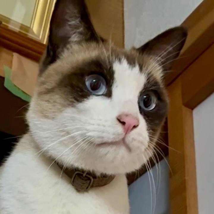 5b1a1a2f 58ca 41b7 8851 3df6e9162018 1766234266512