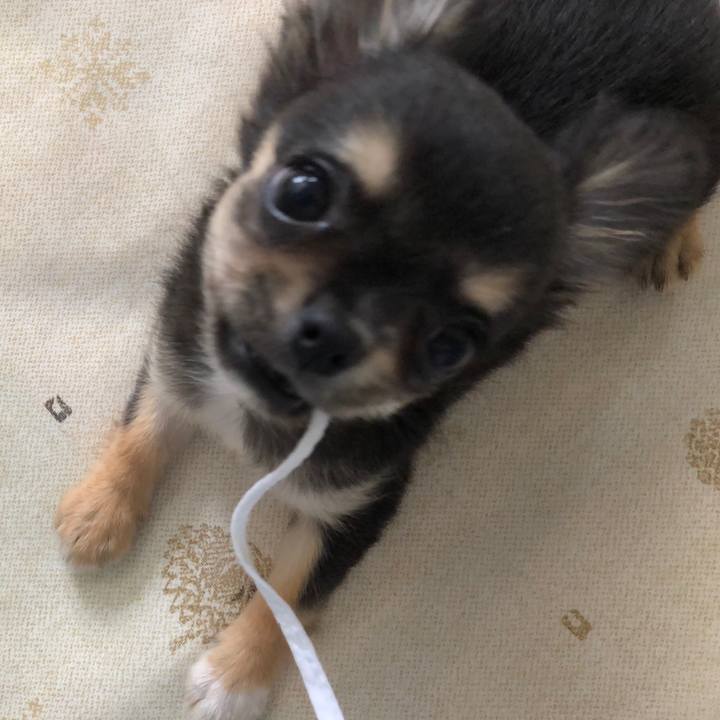 5b1a57e2 c130 4fa0 9b17 5393dd4b5b56 1535511296517