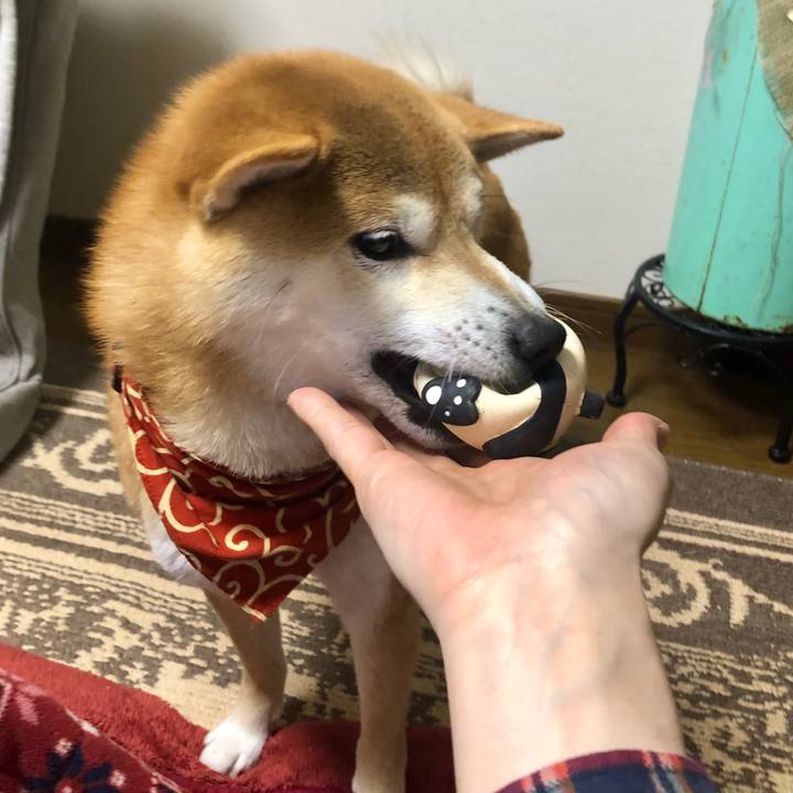 5b1a946f cf9f 4e64 9c95 961c7f4a0206 1551268202248