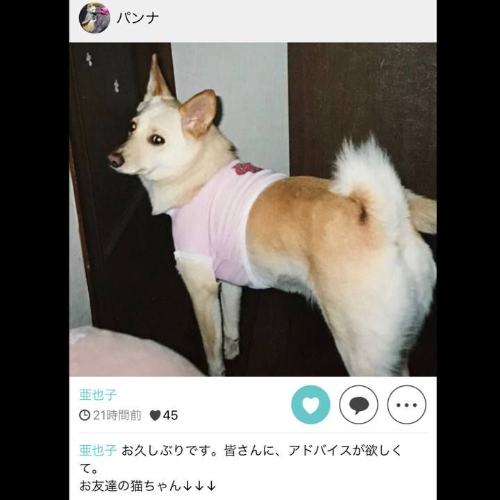 5b1aa30e b1f6 44b7 90d7 6f4c24f70b8a 1544401809325