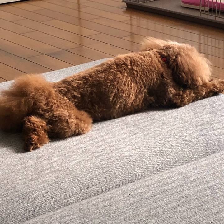 5b1ad244 312b 4e62 aa06 f019a81b365d 1606092040661