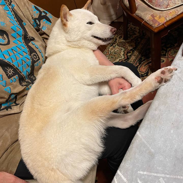 5b1b2d8e a0d4 4fa8 8089 441e8c91e5af 1654779040609