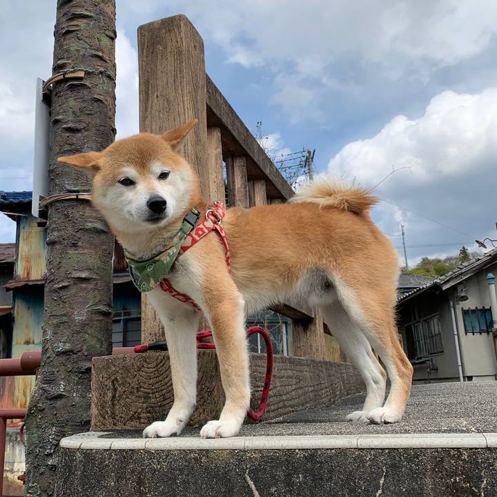 5b1b3b82 5f25 4672 9375 a48198fe37fa 1587718031231