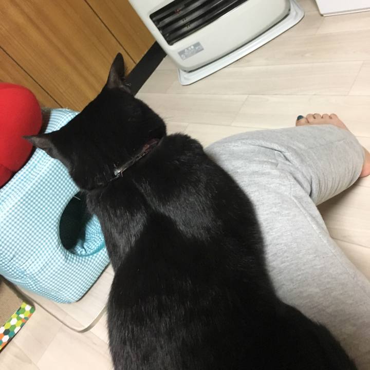 5b1b411e 2ffa 4fb6 a478 5c29878df028 1515590621869