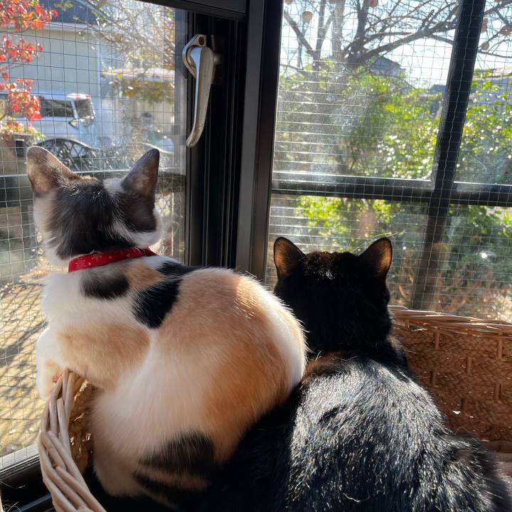 5b1b9004 0a4b 4c89 a89f 20fbdf951bb6 1700351815173