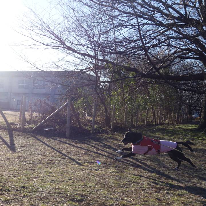 5b1bfca3 56bf 4692 afb0 cfbacc2c542f 1674697043938