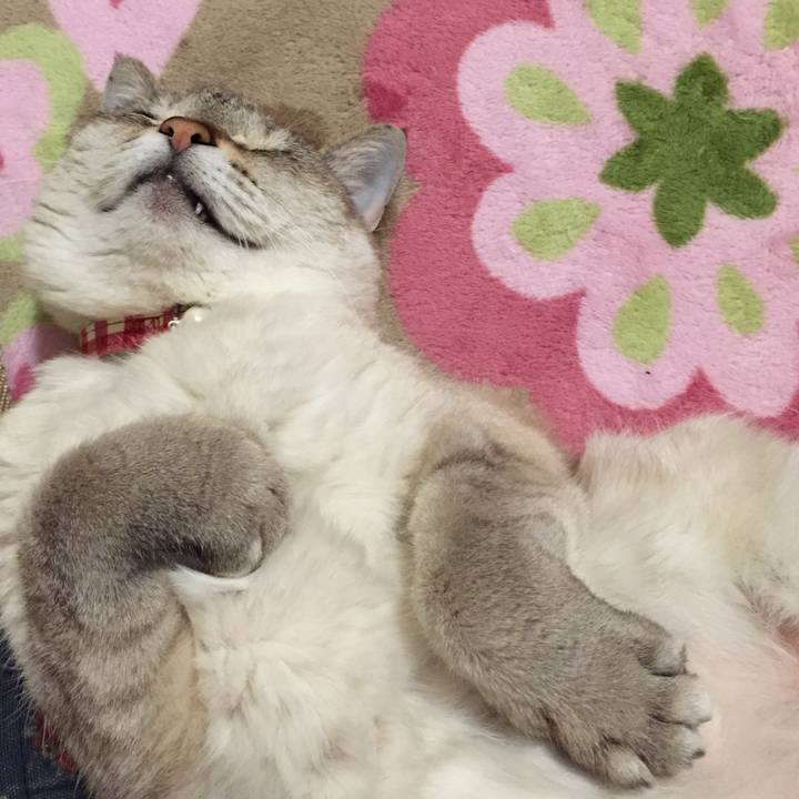 5b1c749a af33 42e3 8cfd a8f4982c6d99 1519475601098