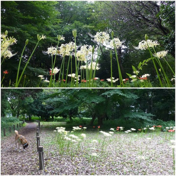 5b1c7ec7 77b2 4829 8fd3 e46613b95779 1580519309631