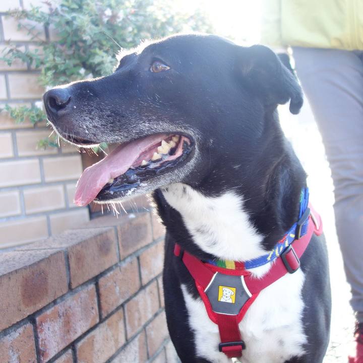 5b1c996c 7580 414a 90ec 31e2a1e08897 1667003769791