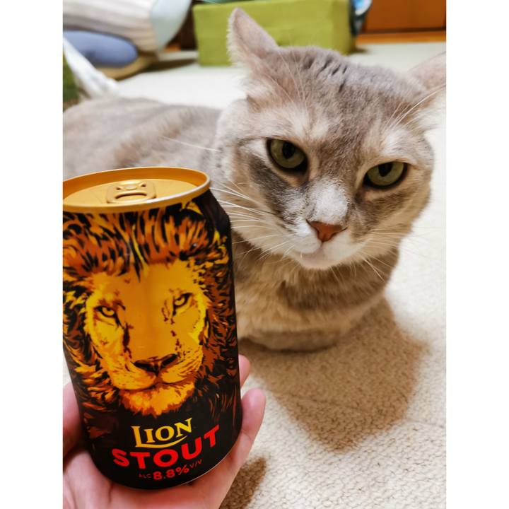 5b1ca652 e8d9 4ce4 a3eb dfb027dc6207 1669522940336