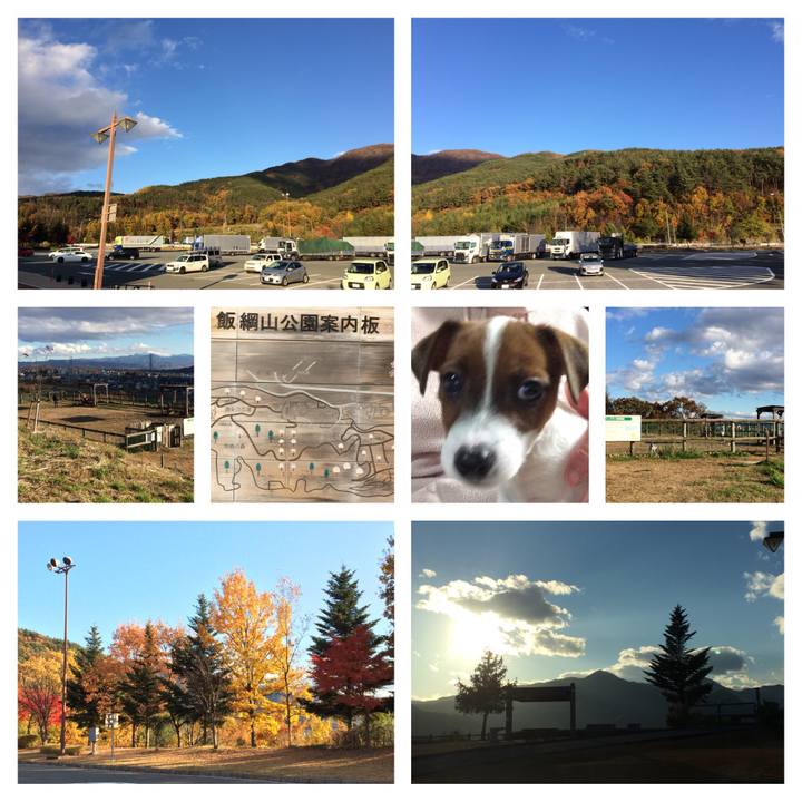 5b1cd380 46a4 43e9 890d 7f822d75c8cc 1510399835051