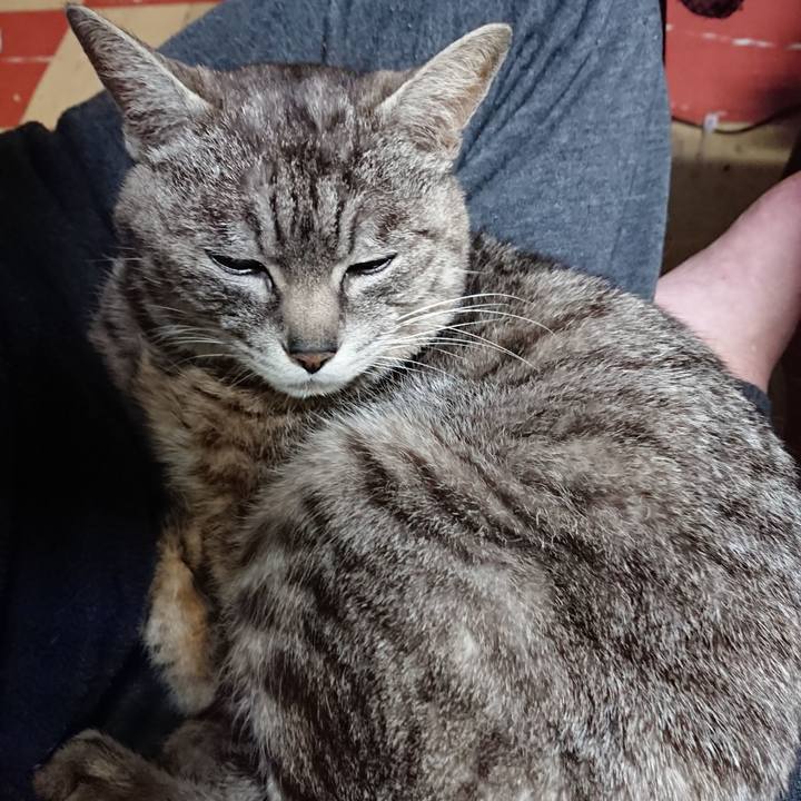 5b1ce744 fb77 4b09 8d69 9d980759b466 1557401011230