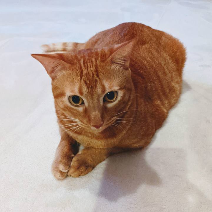 5b1ce8bc c3b5 4f38 9f2e bbc13d159b4c 1630323175926