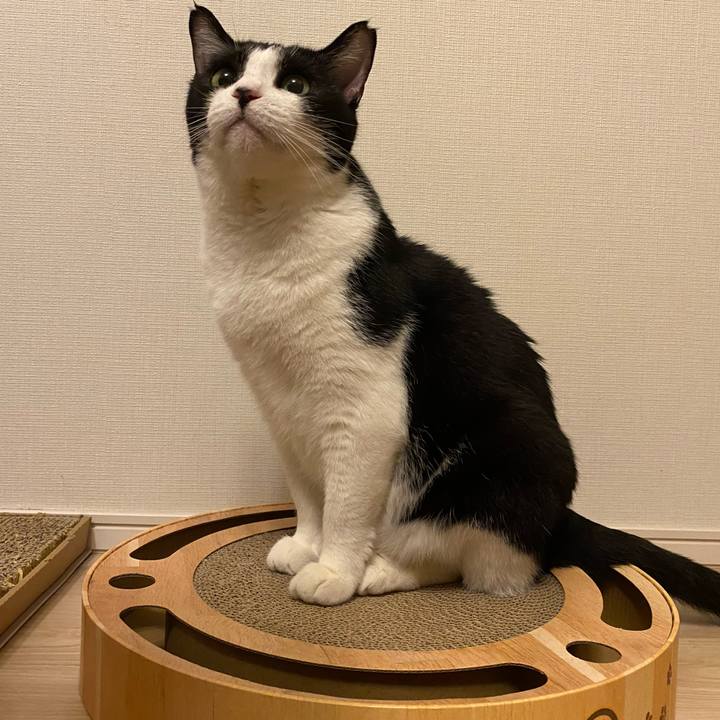 5b1d0619 71cb 4f0a aa1b 78b186af1e01 1717766328778