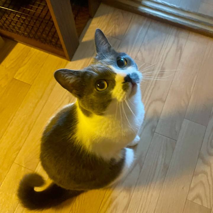 5b1d4822 adf7 482d 8821 83e034431253 1750973087068