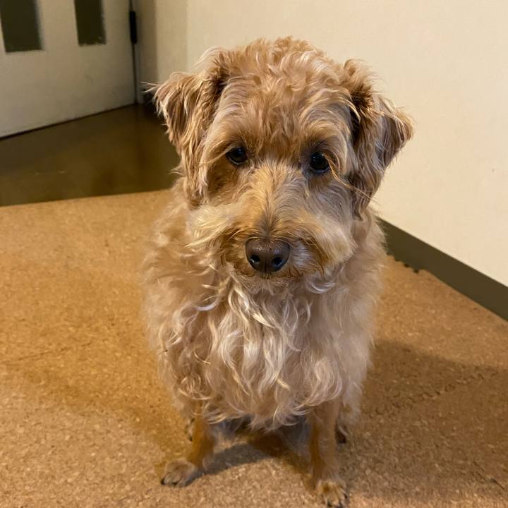 5b1d517f e6e9 4af5 bb39 07e782397746 1626085263771