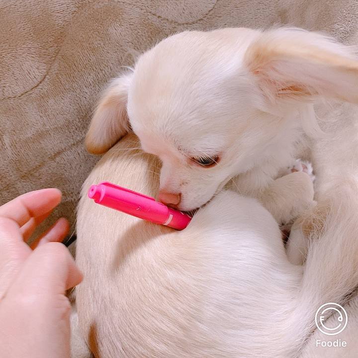 5b1d6677 137e 41e7 ae29 389eba89795c 1608623776081