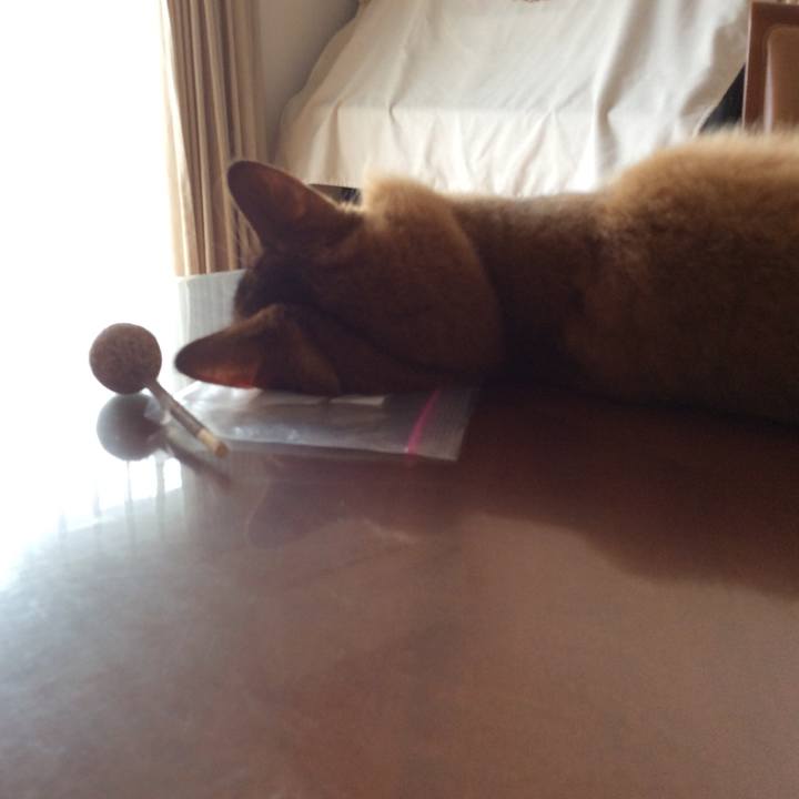 5b1d7890 1645 4ba4 84de 6532c7d52a14 1599179805170