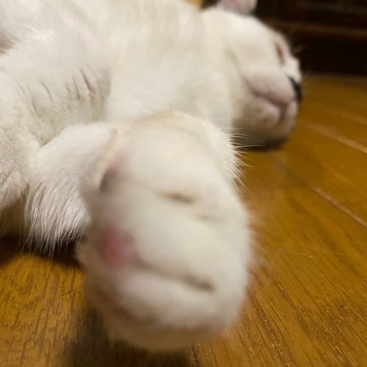 5b1d7949 39c2 4957 912d 45be83a05e68 1750248197397