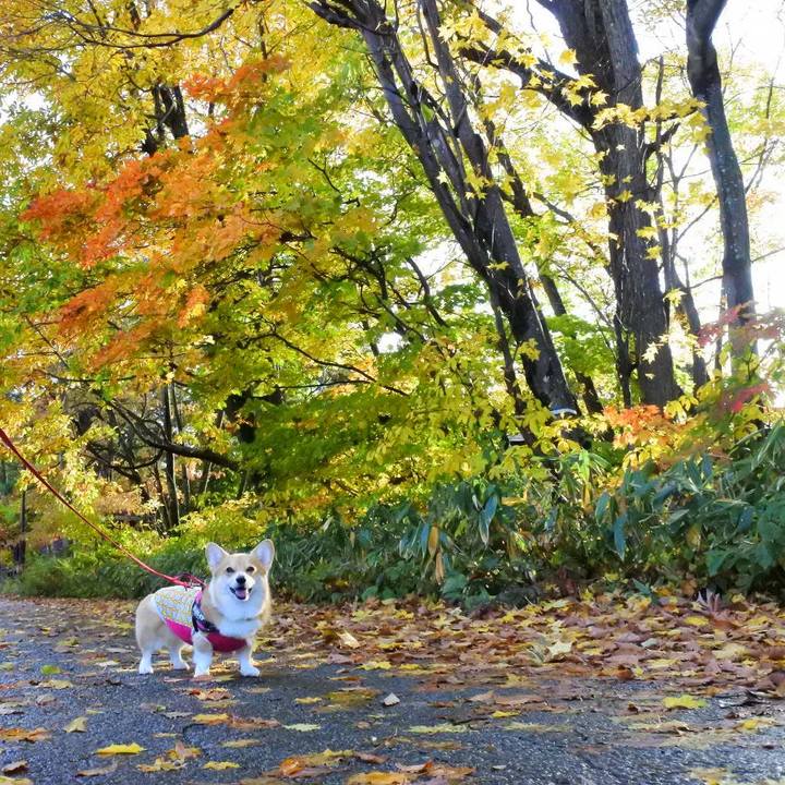 5b1d8266 5e85 42f2 aa68 d5a0034eb2ab 1603802439633