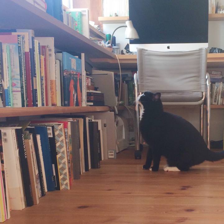 5b1d8857 159a 4cc9 8087 0f611bb81b1e 1512869255517