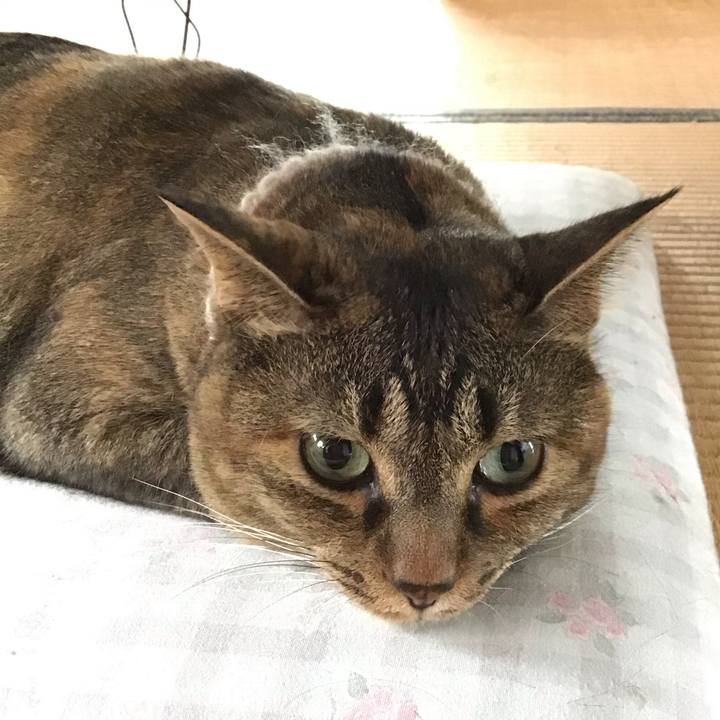 5b1dcc94 e657 47df a23c e706f39c9f8e 1691579738356