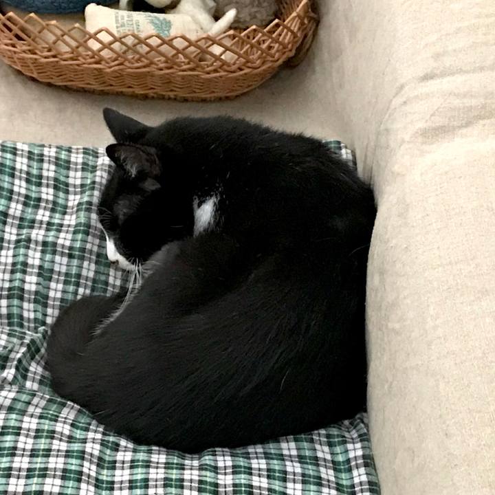 5b1dd320 e754 418d 8ae2 a1e27d819145 1532143841874