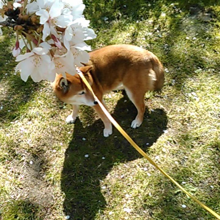 5b1e09d4 3364 4806 a089 8359c0b14447 1554360717631