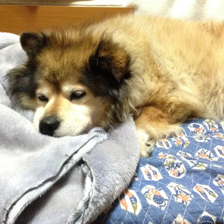 5b1e454e fac7 4163 8f4a 463c5b96cbc1 1601250353448