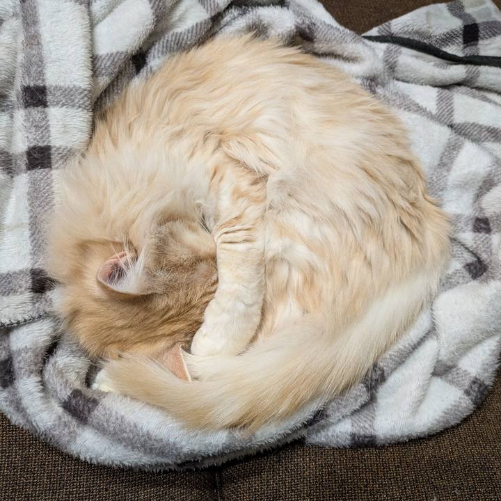 5b1e5843 cee1 48c1 91cc 4fc8d25583ec 1740667810161