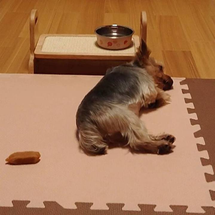 5b1e5b38 1394 4444 91ba c92ef9ee34e9 1559805295837