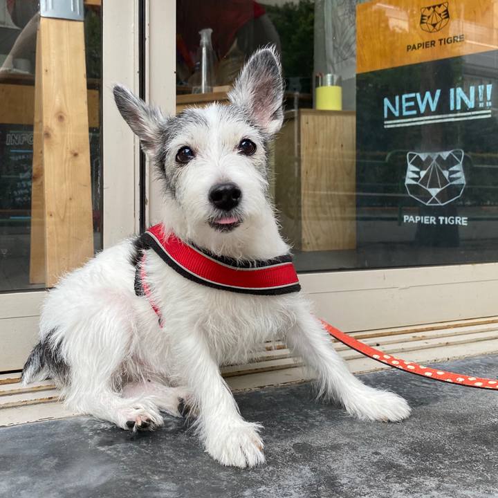 5b1e961c 4007 4edc 975a 38d2ce6125b3 1596865676842