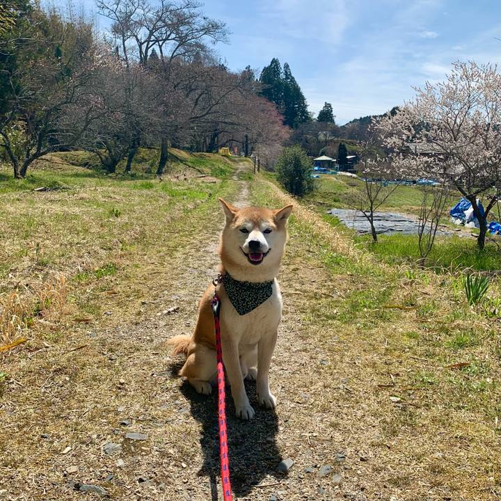 5b1ebea8 92b1 46fb 94c2 2cf562b16f02 1649154536041