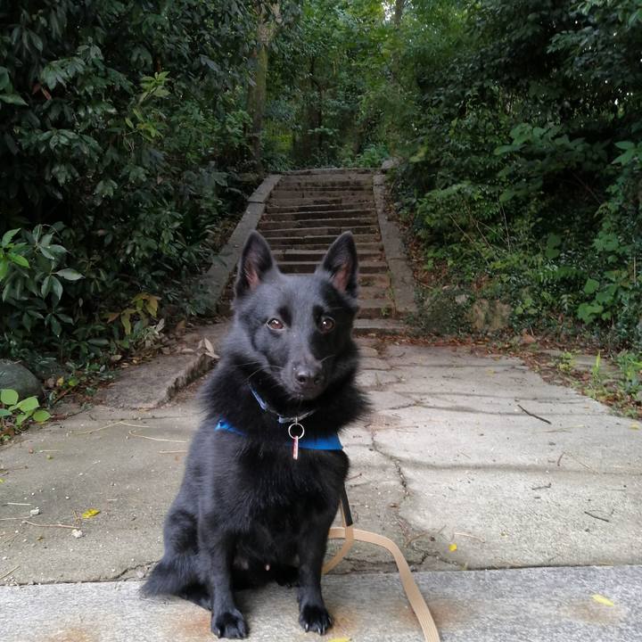 5b1ec80a 2bf3 43f7 b578 6875facae2e7 1602975375946