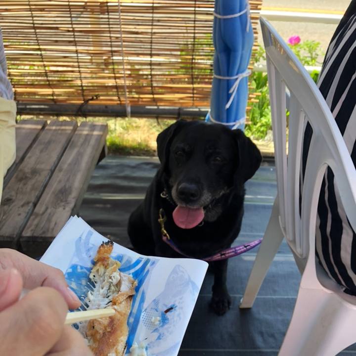 5b1ecfc7 ea25 43de b448 f282b32cbc11 1558241133621