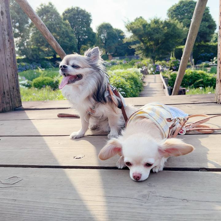 5b1f1627 0b34 407f 931a 012b40d44b6c 1687319966813