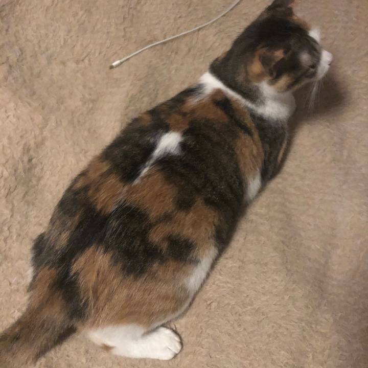 5b1f19bd be67 4ba5 a5c8 145af69475c3 1597517891976