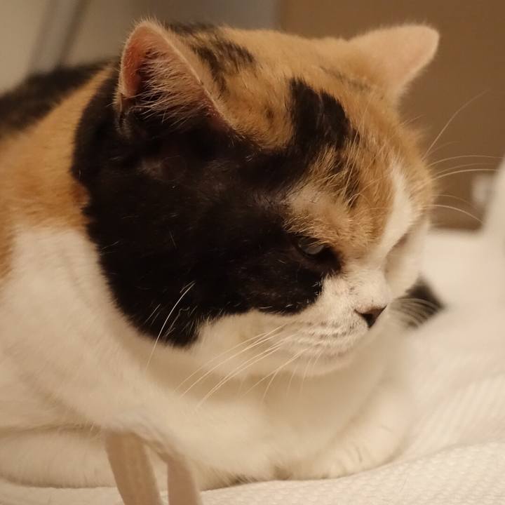 5b1f35de 9ea4 4237 8da2 f2dcd1434db7 1519135156845