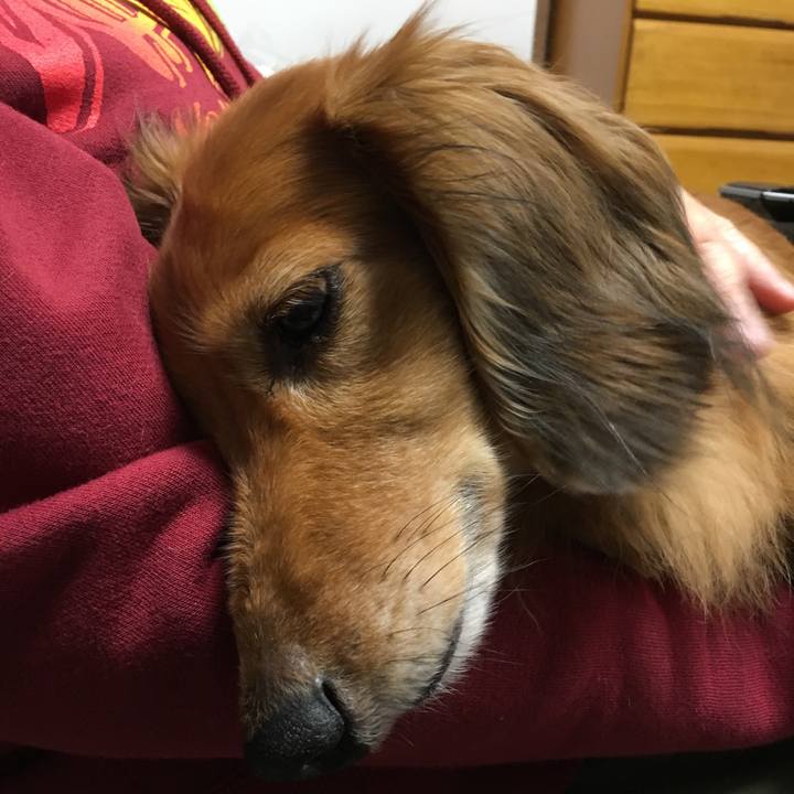 5b1f4f01 8c7e 481b a12f 95e7834a77dc 1543761137925