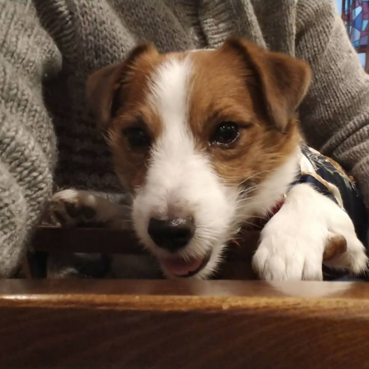 5b1f7aa9 ac3c 46b5 ac15 a7446b98fe39 1517840614747