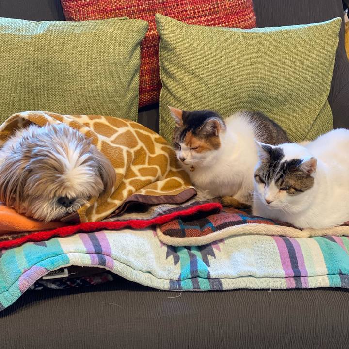 5b1fcfa3 6d6b 4d95 8668 3948ae97d789 1671061486874