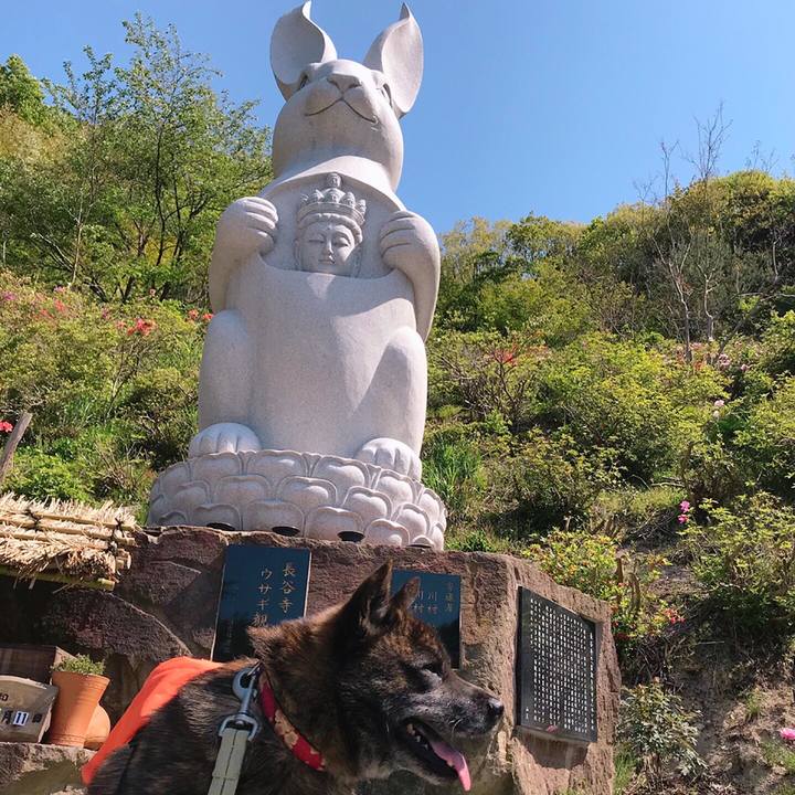 5b1fd7ab 9ac6 46fb a2e0 898c82a29853 1557657219013