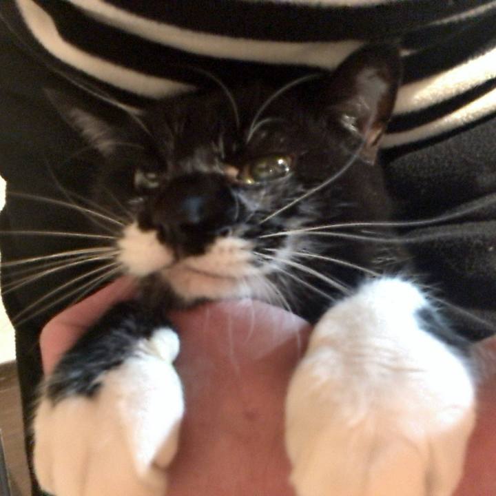 5b1febd3 9d87 42d2 a6df 6c883cbac18e 1514471085604