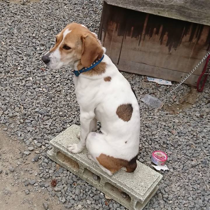 5b2018b7 dda9 4316 95fb 4f2aed4a3925 1643539999030