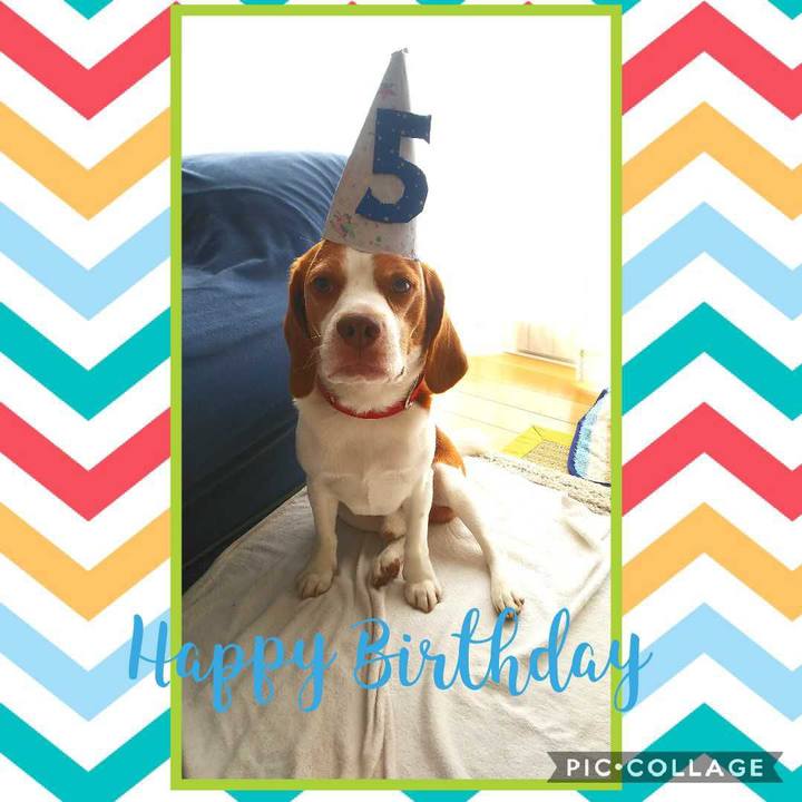 5b2050dd c264 4fba bb81 83a702284135 1598324649474