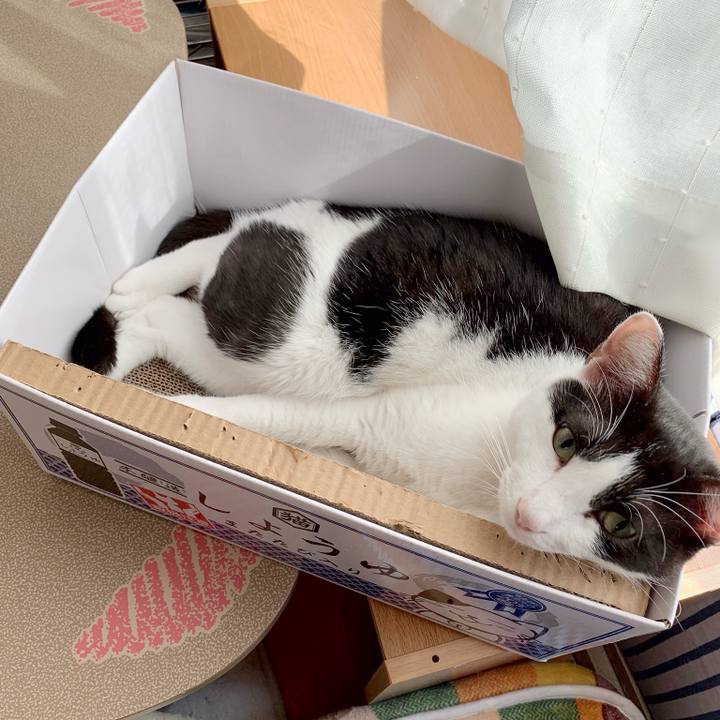 5b206441 b89e 465f 976d 28175796a717 1540348420213