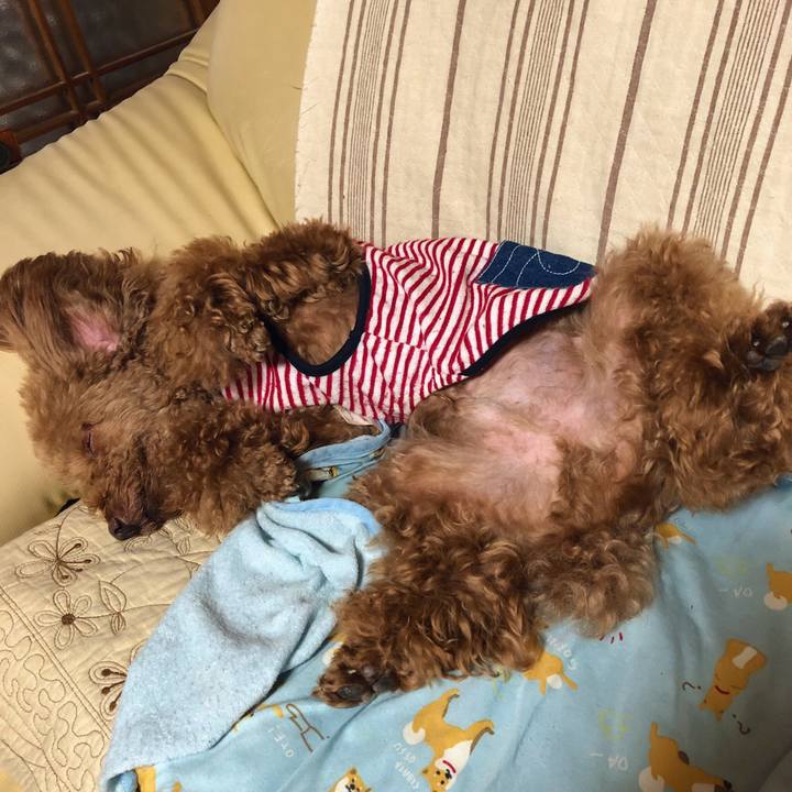 5b20b0e5 0e1c 478c 8caf f1e609e9681f 1561354527261